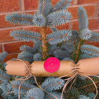 Eco-friendly Christmas crackers with gold holly design on a Christmas tree branch.