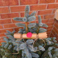 Eco-friendly Christmas crackers with gold holly design on a Christmas tree.