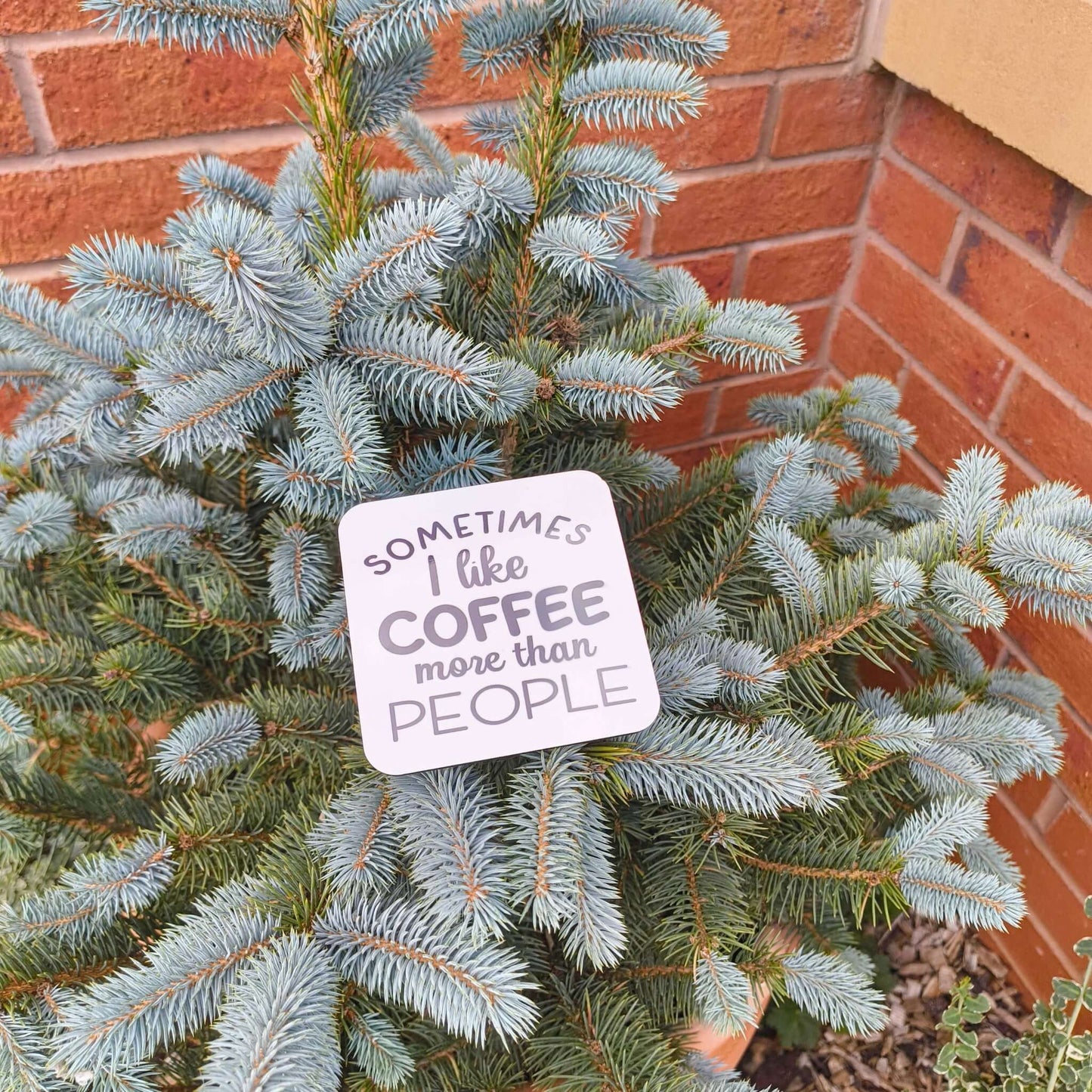 Funny coffee coaster gift with the phrase 'Sometimes I like coffee more than people' on a tree.