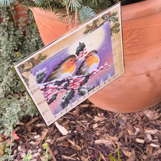Robin Advent Calendar - Vintage Christmas Countdown with Holly & Berries