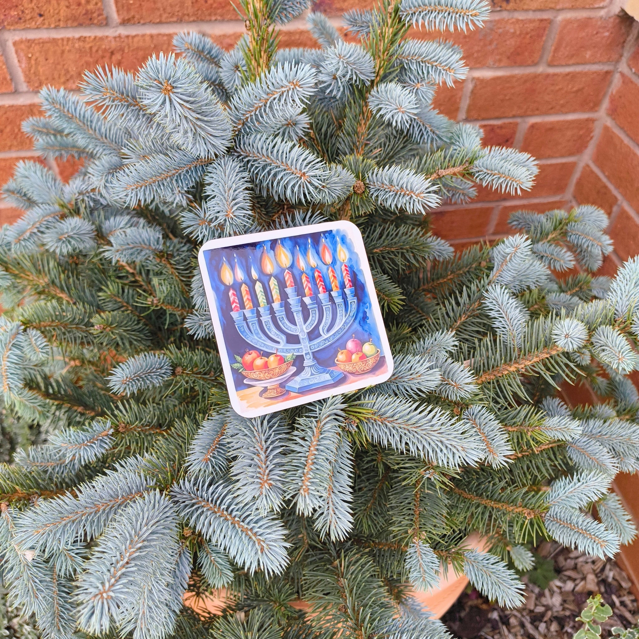 Hanukkah coaster with menorah and candles, displayed on a blue spruce tree outside against a brick wall