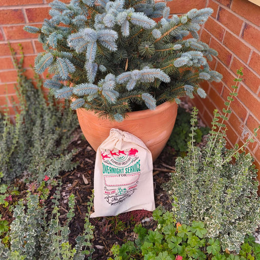 Large Christmas gift sack with express overnight delivery print placed in outdoor festive setting