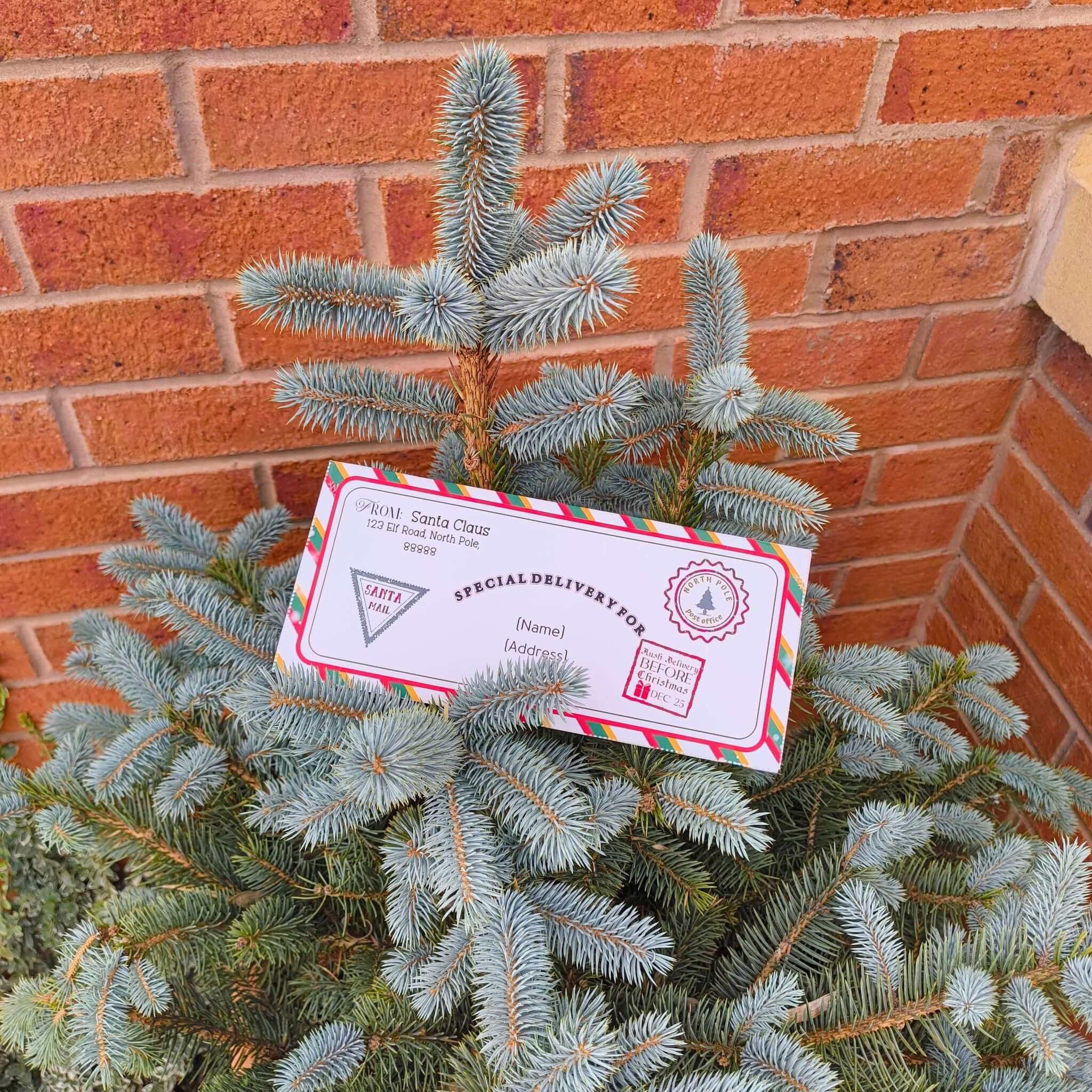 Personalised Santa delivery envelope placed on a snowy evergreen tree, enhancing Christmas magic.