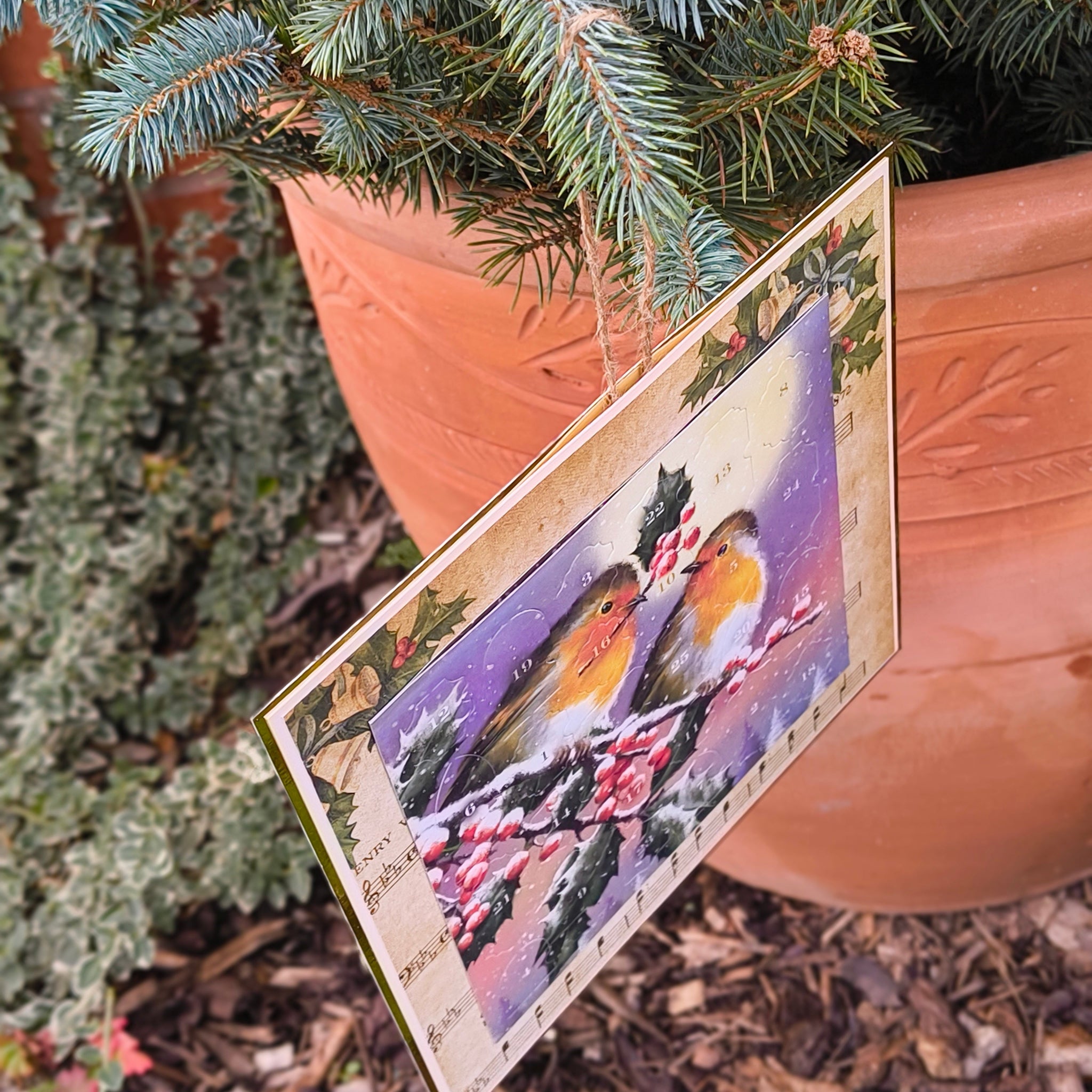 Robin Advent Calendar - Vintage Christmas Countdown with Holly & Berries