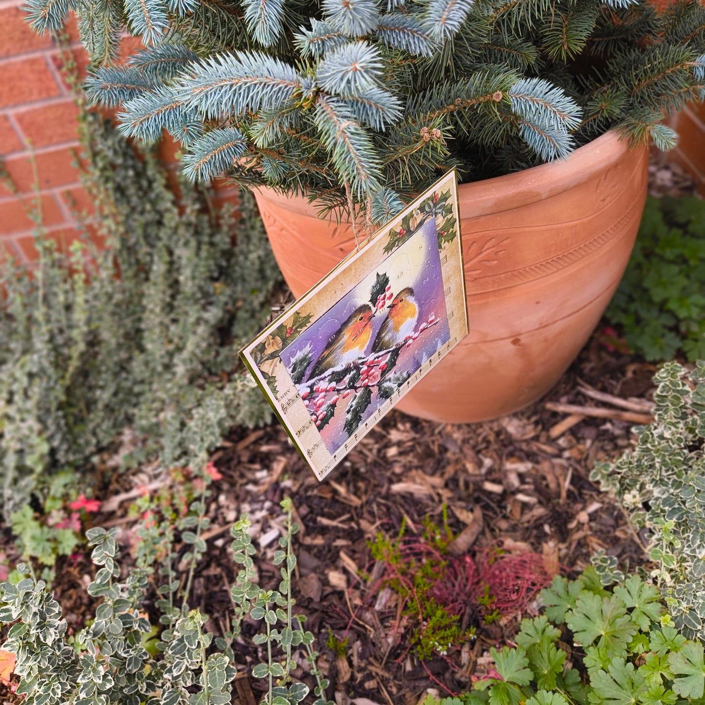 Robin Advent Calendar - Vintage Christmas Countdown with Holly & Berries