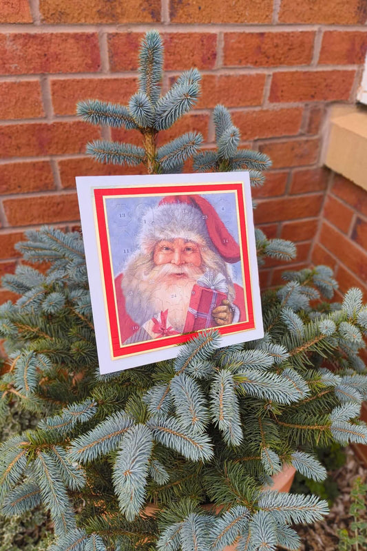 Traditional Santa Advent Calendar with red and gold border, propped on a small outdoor Christmas tree in a terracotta pot against a brick wall background.