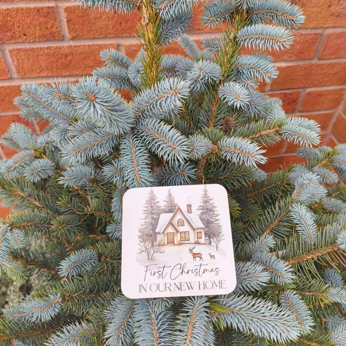 First Christmas New Home Coaster on a Christmas tree branch, celebrating new home festive traditions.
