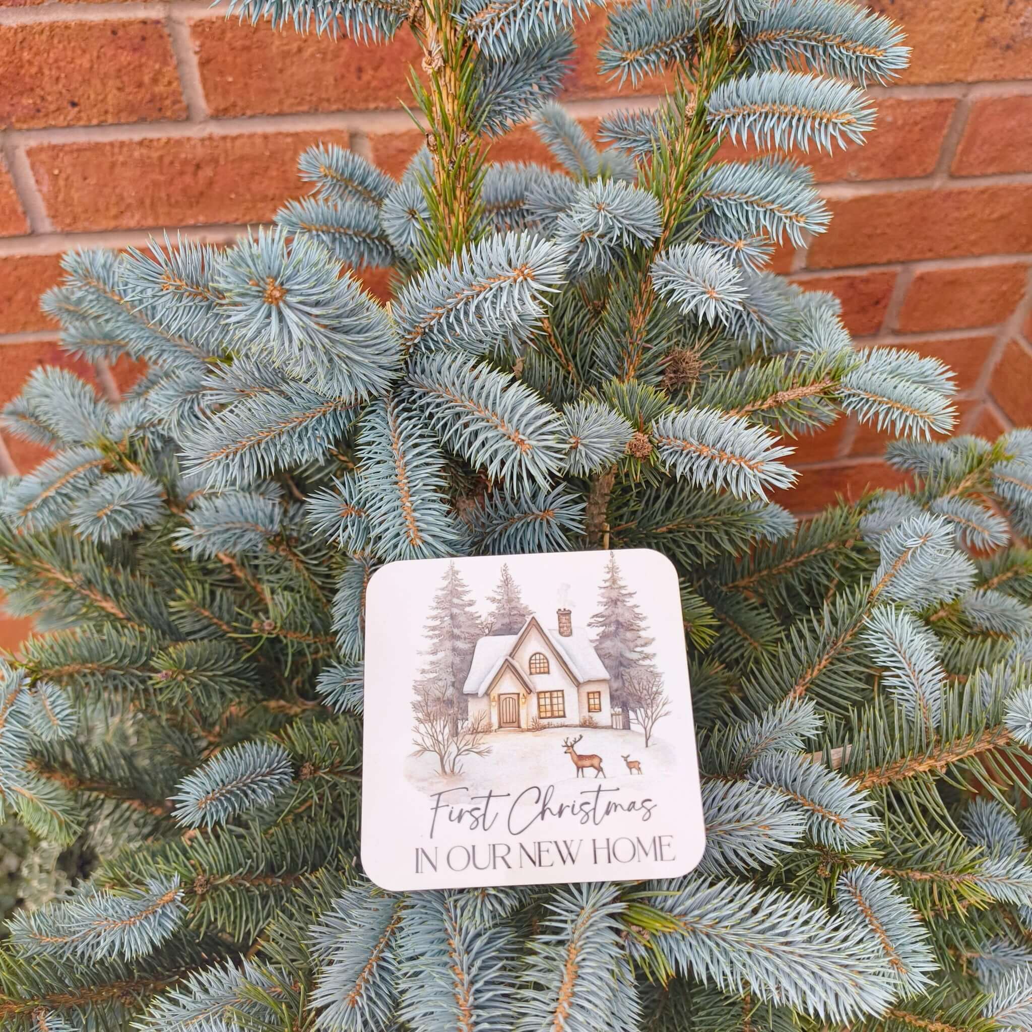 First Christmas New Home Coaster on a Christmas tree branch, celebrating new home festive traditions.