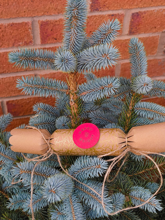 Eco-friendly Christmas crackers with gold holly design on a Christmas tree branch.
