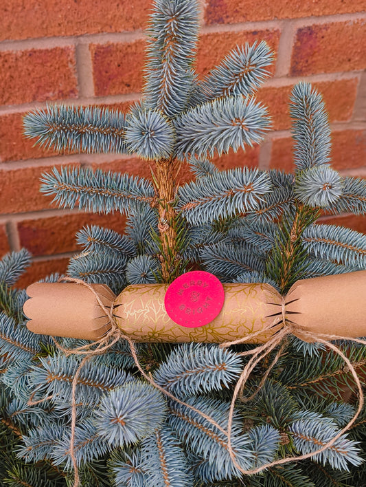 Eco-friendly Christmas crackers with gold holly design displayed on a Christmas tree.