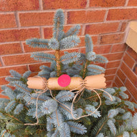 Eco-friendly Christmas crackers with gold holly design decorated on a festive tree.