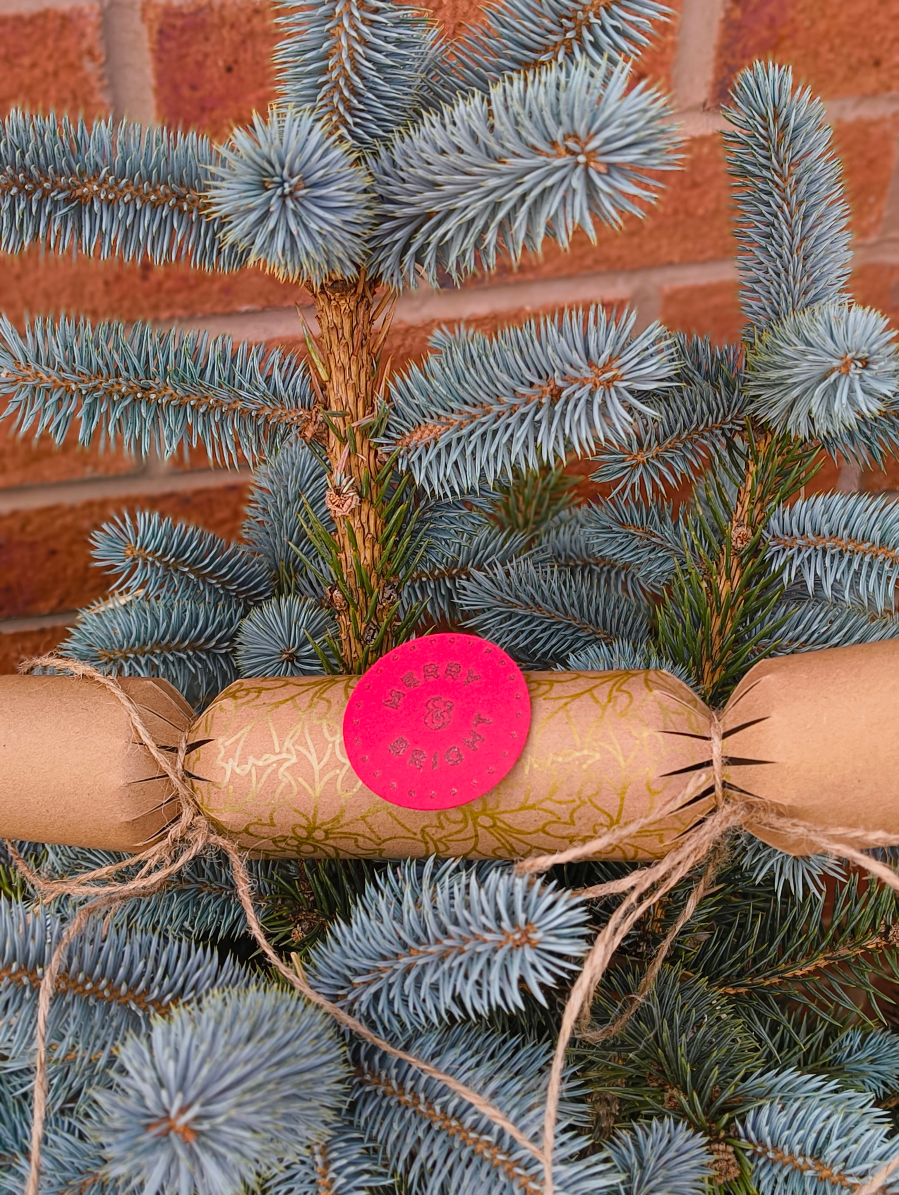 Eco-friendly Christmas crackers with gold holly design displayed on a Christmas tree branch.