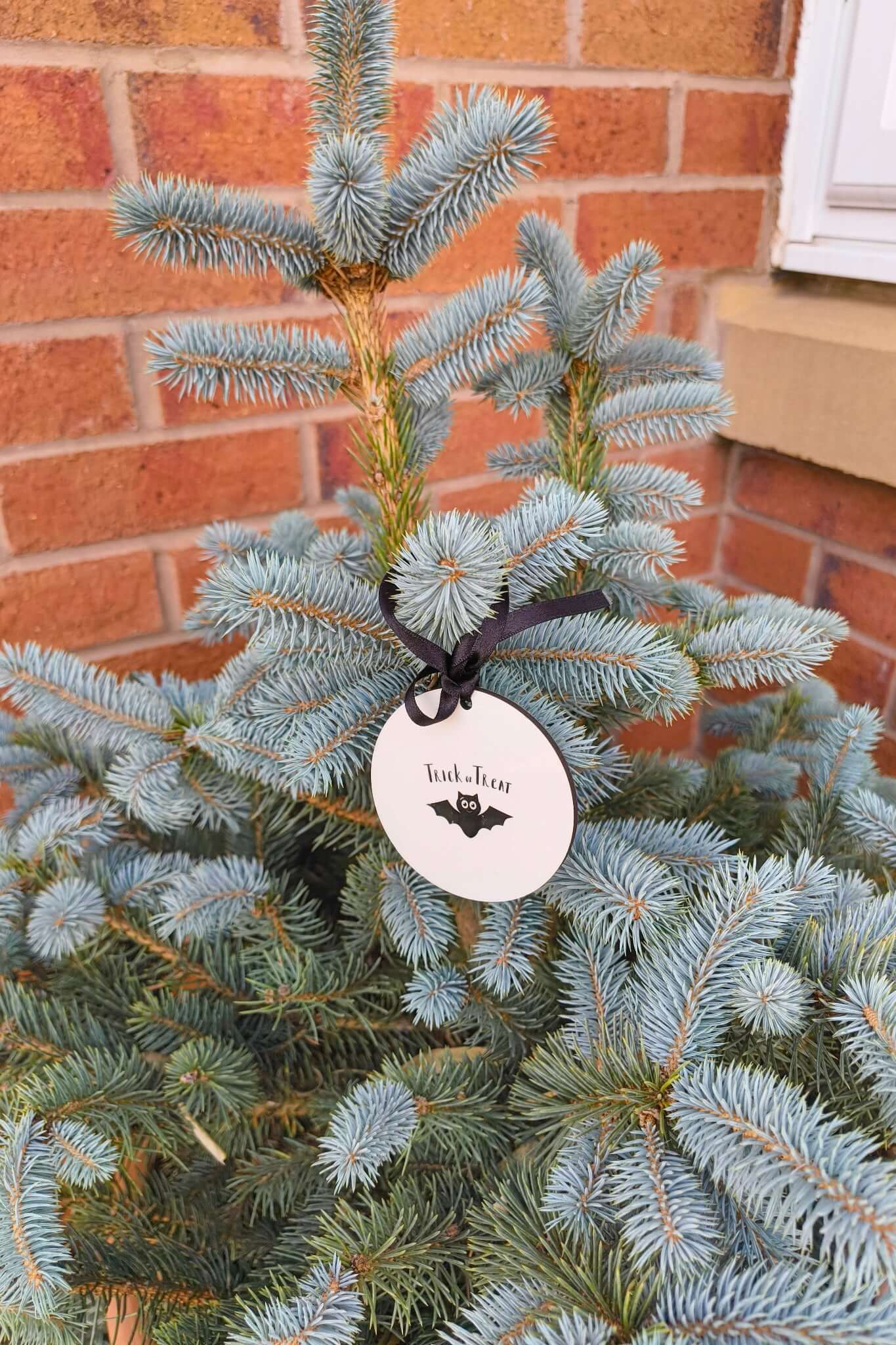 Black ribbon Halloween bauble with spooky bat and Trick or Treat text, custom name option.