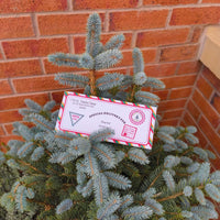 Personalised Santa delivery envelope placed on a Christmas tree branch, showcasing festive designs and magical holiday spirit.