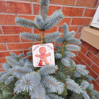 Festive coaster with gingerbread man and “Official Cookie Tester” text displayed on a potted outdoor spruce tree.