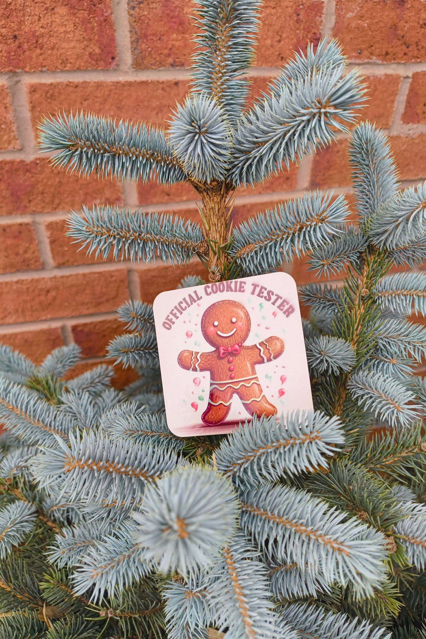 Fun gingerbread man “Official Cookie Tester” drinks coaster styled on an outdoor Christmas tree.