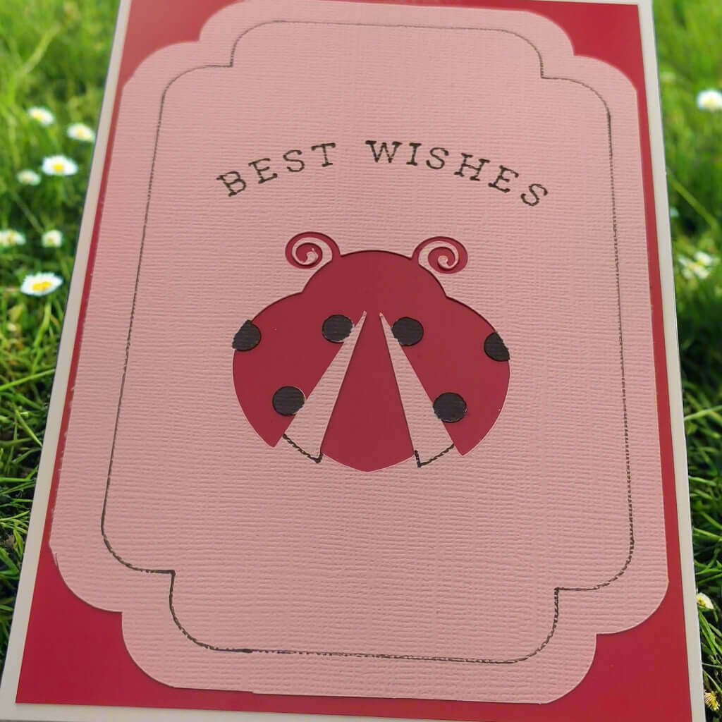 Handmade "Best Wishes" greeting card featuring a layered pink and red design with a cute ladybird illustration and elegant black text, perfect for birthdays, congratulations or general well wishes.