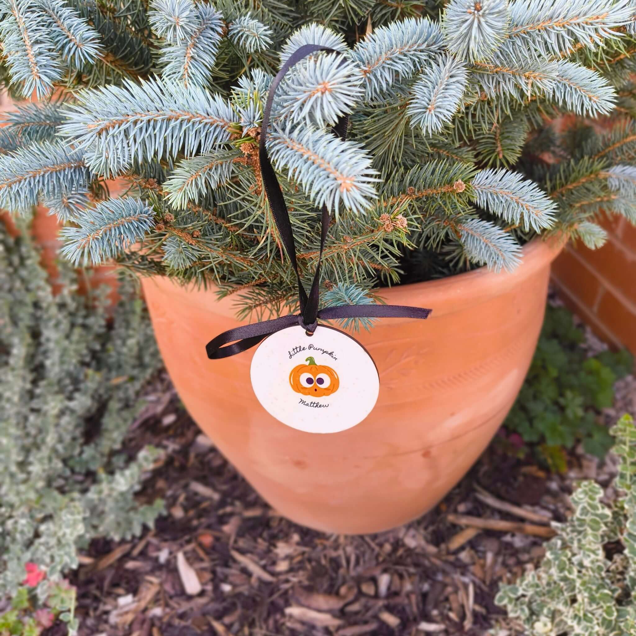 Personalised halloween keepsake bauble tag on a potted plant with greenery for Halloween decor.