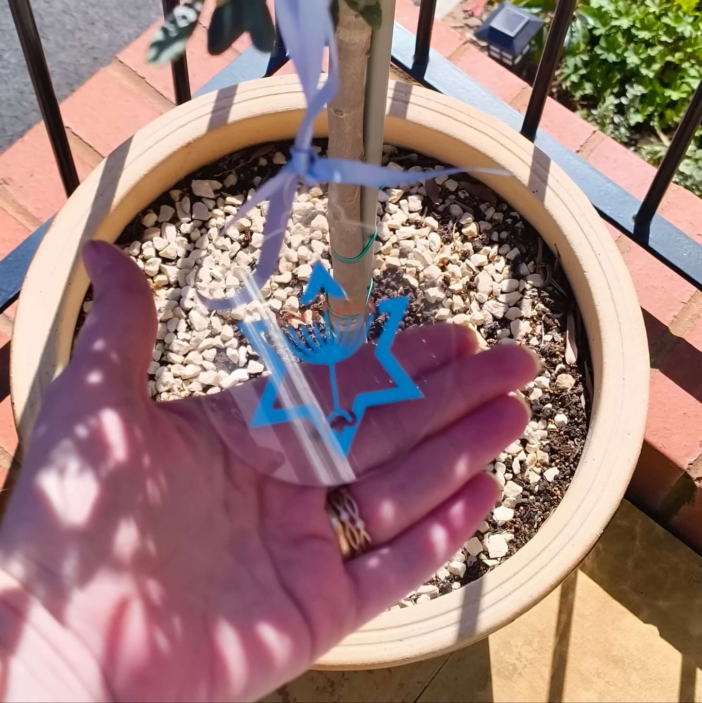 Hanging Hanukkah ornament with blue ribbon displayed on outdoor tree.