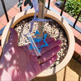 Hanging Hanukkah ornament with blue ribbon displayed on outdoor tree.