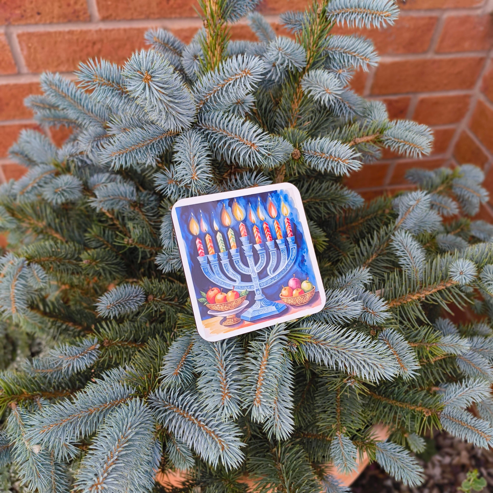 Coaster with glowing menorah and striped candles, resting on evergreen tree branches outdoors