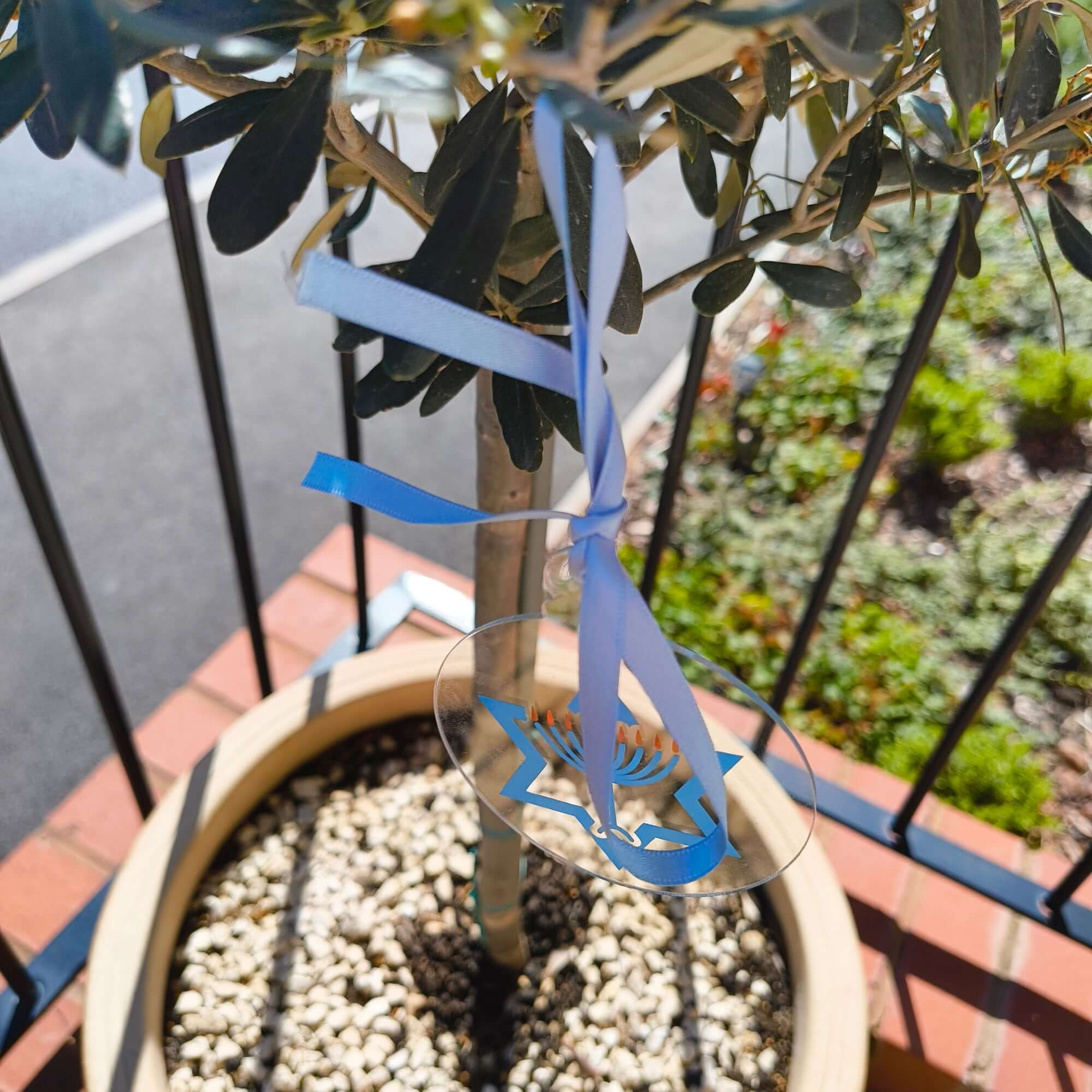 Acrylic Hanukkah ornament with menorah design tied with ribbon, displayed on olive tree.