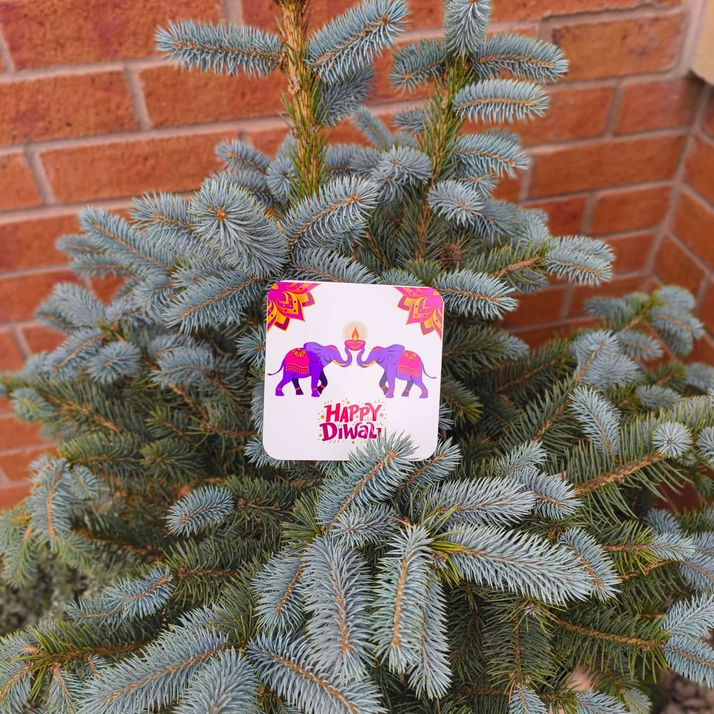 Full view of a Happy Diwali coaster with purple elephants and diya design, placed on a small outdoor spruce tree in front of a brick wall.