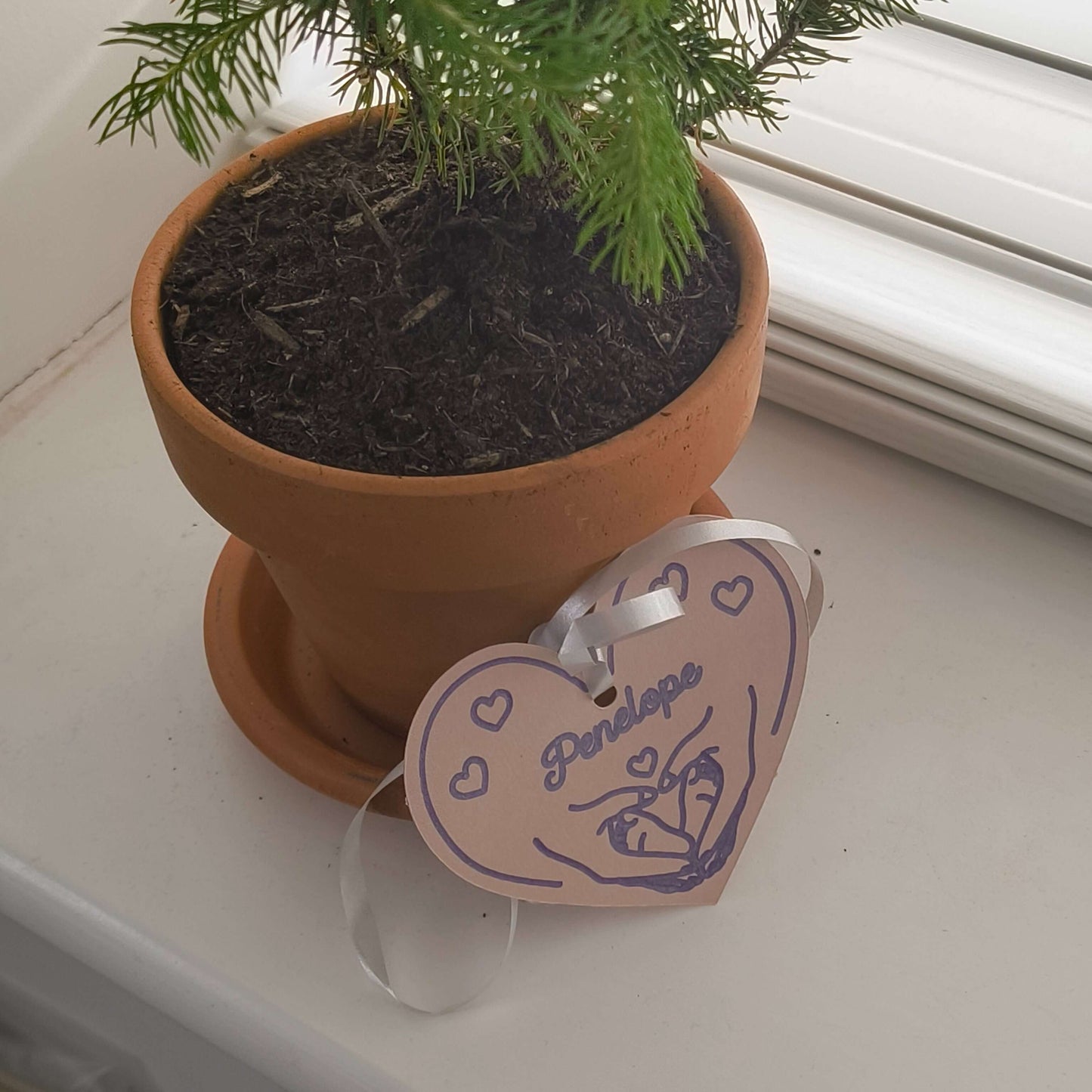 Personalised heart gift tag with the name Penelope, tied with a ribbon, next to a potted plant.