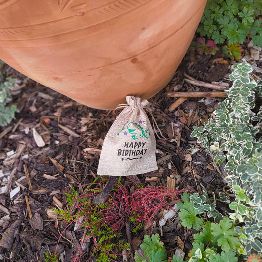 Handmade hessian Happy Birthday gift bag with dinosaur and stars design, photographed outdoors beside terracotta pot and greenery.