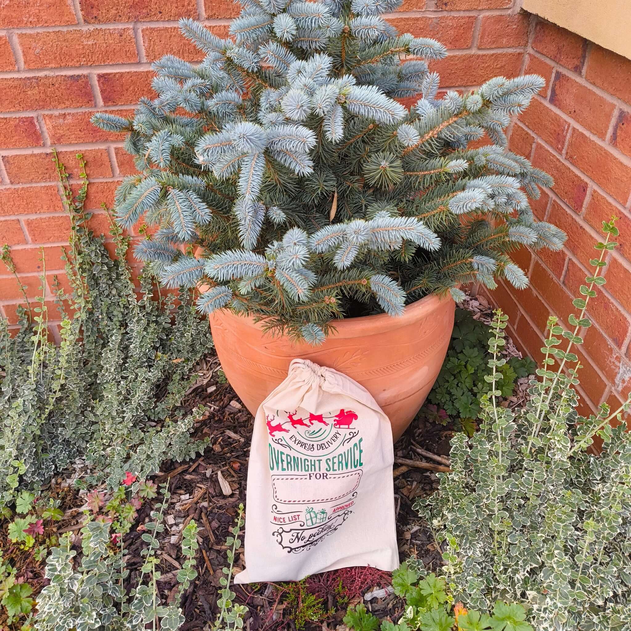 Holiday Santa sack with overnight service design leaning against plant pot with greenery
