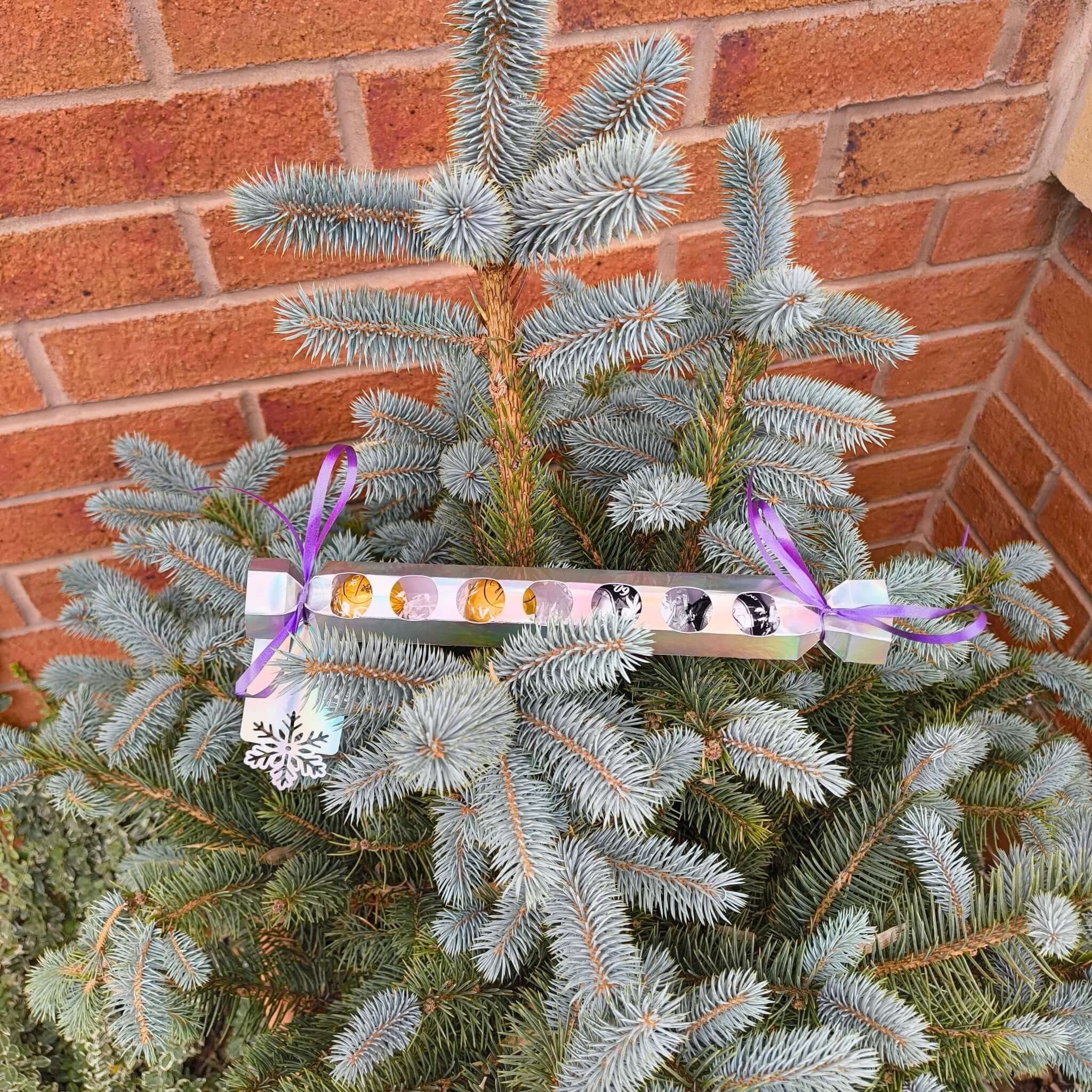 Personalised chocolate cracker gift hanging on a spruce tree, decorated for Christmas celebrations.