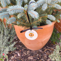 Personalised Halloween Keepsake Bauble hanging on a potted plant, showcasing the pumpkin design.