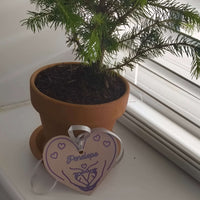 Personalised baby gift tag in heart shape with name 'Penelope' hanging from a potted plant.