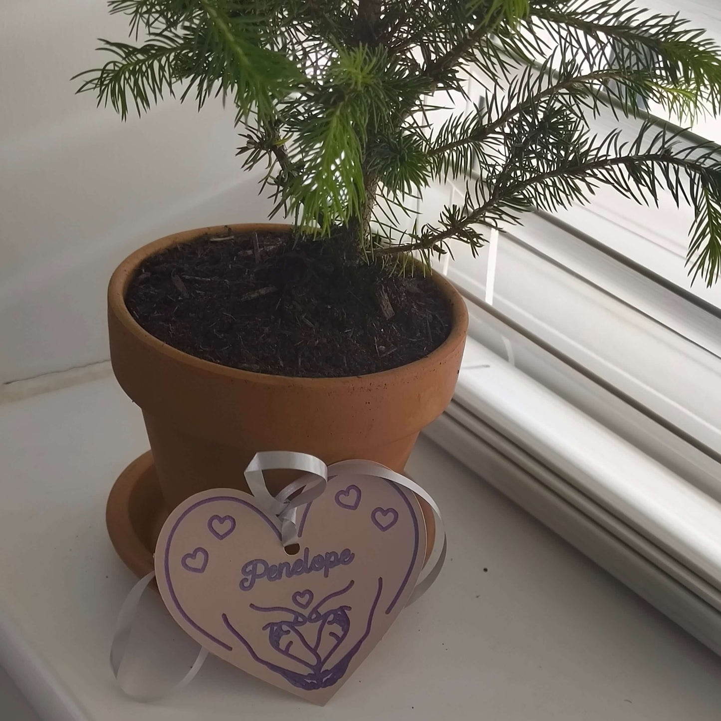 Personalised baby gift tag in heart shape with name 'Penelope' hanging from a potted plant.