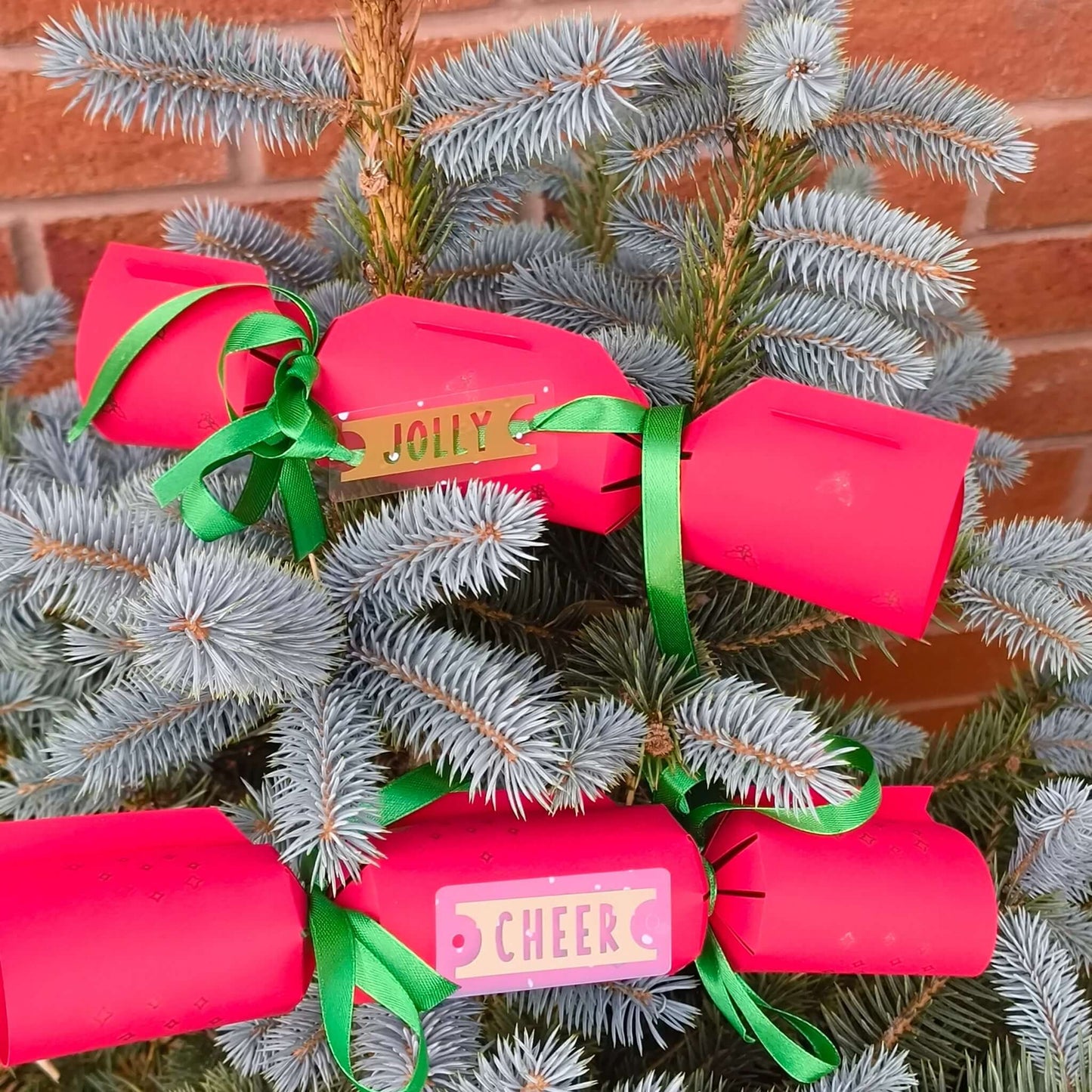 Two red Christmas crackers with green ribbon bows and gold tags reading ‘Jolly’ and ‘Cheer’, displayed on a blue spruce tree.