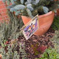 Robin Advent Calendar - Vintage Christmas Countdown with Holly & Berries